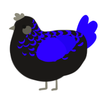 borb - free, a sable and indigo chicken with a half-lace pattern