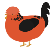 A vermilion and sable chicken with a neck-speckle pattern