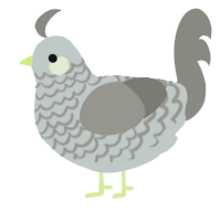 A silver and ash chicken with a lace pattern