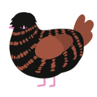 A black and russet chicken with a bar pattern