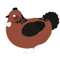 Cortado, a russet and sable chicken with a neck-speckle pattern