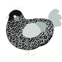 Mori, a black and silver chicken with a double-lace pattern
