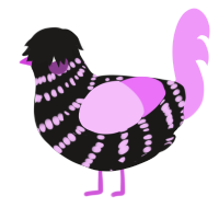 my chemical yuri, a sable and lavender chicken with a bar pattern
