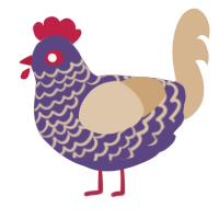 ʻĀkia, a overcast and beige chicken with a lace pattern
