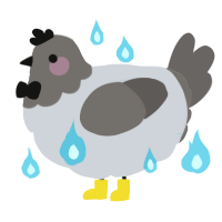 A mist and grey chicken with a head pattern