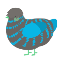 A grey and cerulean chicken with a bar pattern