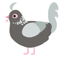 A grey and silver chicken with a neck-speckle pattern