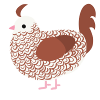 tiles jr, a white and russet chicken with a double-lace pattern