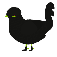 A black chicken with a lace pattern