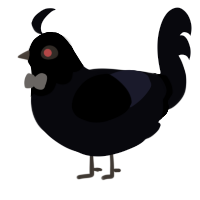 KET, a white chicken with a head pattern