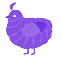 A blurple chicken with a bar pattern