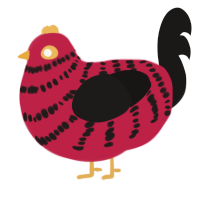 A crimson and sable chicken with a bar pattern