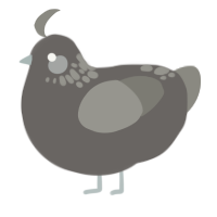 stormy skies, a grey and ash chicken with a neck-speckle pattern