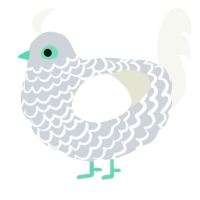 A mist and white chicken with a lace pattern