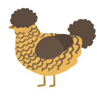 Nacho, a honey and bark chicken with a lace pattern