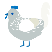 A silver and white chicken with a half-lace pattern