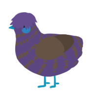 A overcast and bark chicken with a bar pattern