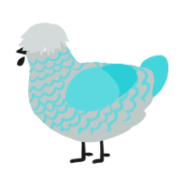(unnamed), a silver and aqua chicken with a lace pattern