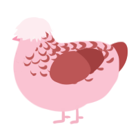 Amore, a rose and red chicken with a half-lace pattern