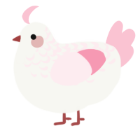 Fraiser, a white and rose chicken with a half-lace pattern