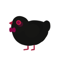 Astaroth, a black chicken with a head pattern