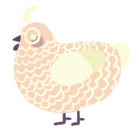 Sugar Sugar, a rose and white chicken with a lace pattern