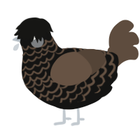 Dirt, a black and bark chicken with a lace pattern