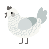 Comfortably Numb, a white and silver chicken with a lace pattern