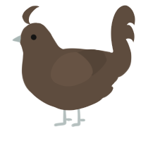 Turdito, a bark chicken