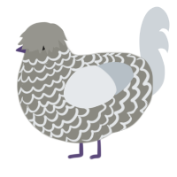 A ash and mist chicken with a lace pattern