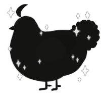 A black chicken