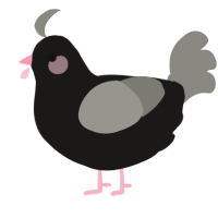 Shade, a sable and ash chicken