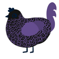 C-PTSD, a black and overcast chicken with a double-lace pattern