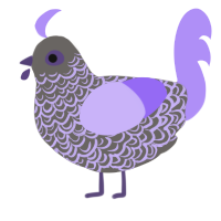 Slarry, a grey and lilac chicken with a double-lace pattern