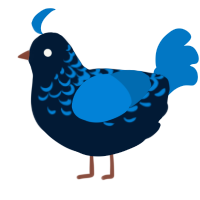 A tumblr and sapphire chicken with a half-lace pattern