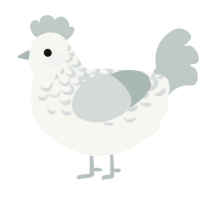 Jushiro, a white and silver chicken with a half-lace pattern