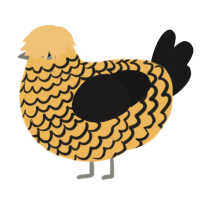 A honey and sable chicken with a lace pattern