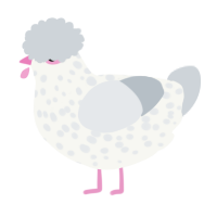 A white and mist chicken with a speckle pattern