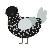 Samsung TV, a sable and silver chicken with a speckle pattern