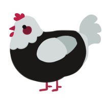 Checkmate, a sable and silver chicken with a head pattern