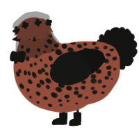 Bean, a russet and black chicken with a speckle pattern