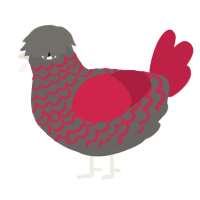 A grey and crimson chicken with a lace pattern