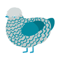 Mirage, a silver and sea chicken with a lace pattern