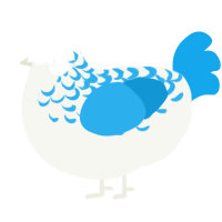 (unnamed), a white and sky chicken with a half-lace pattern