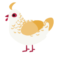Mistea, a white and honey chicken with a half-lace pattern