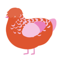 A vermilion and pink chicken with a half-lace pattern