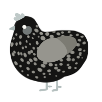 A black and ash chicken with a speckle pattern