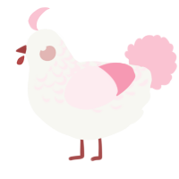 Pinky, a white and rose chicken with a half-lace pattern