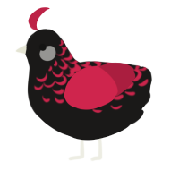 (unnamed), a sable and crimson chicken with a half-lace pattern