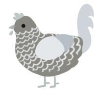 Concrete, a ash and mist chicken with a lace pattern